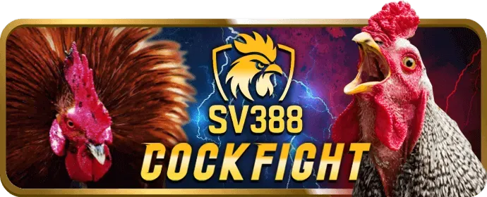 Câu hỏi thường gặp về k88 nhà cái slot